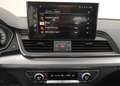 Audi Q5 Q5 Business Advanced quattro s-tronic Grau - thumbnail 14