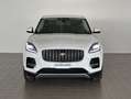 Jaguar E-Pace (X540) 2.0D I4 163 CV AWD Auto Bianco - thumbnail 2
