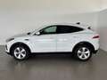 Jaguar E-Pace (X540) 2.0D I4 163 CV AWD Auto Bianco - thumbnail 3