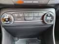 Ford Fiesta Fiesta VII 2017 5p 5p 1.1 Titanium Gpl 75cv Nero - thumbnail 13
