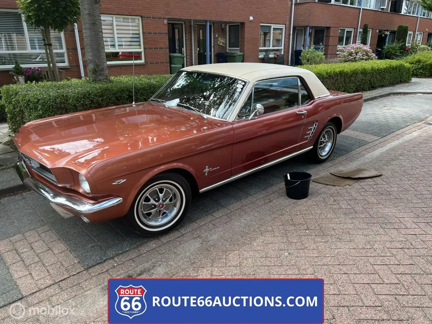 Ford Mustang Coupe 1966 | Route 66 auctions Oranje - 2