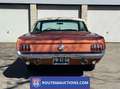 Ford Mustang Coupe 1966 | Route 66 auctions Oranje - thumbnail 3