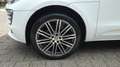 Porsche Macan 2.0 T  *  NAVI * CAMERA * LEDER * CRUISE * CLIMA * Blanc - thumbnail 6