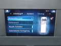Mercedes-Benz Sprinter 316 Mixto L2H2 Standhzg Regale AHK 3,5T Blanco - thumbnail 22