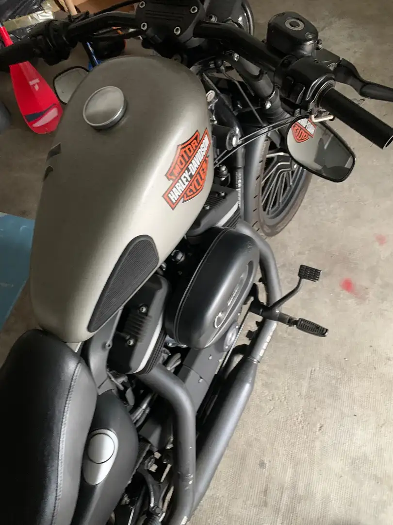 Harley-Davidson Iron 883 Argento - 2