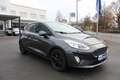 Ford Fiesta Titanium 1,0EcoBoost*Automatik*ACC*Navi*Kamera*PDC Grau - thumbnail 5