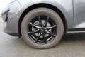 Ford Fiesta Titanium 1,0EcoBoost*Automatik*ACC*Navi*Kamera*PDC Grau - thumbnail 7