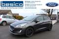 Ford Fiesta Titanium 1,0EcoBoost*Automatik*ACC*Navi*Kamera*PDC Grau - thumbnail 1