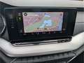 Skoda Octavia Combi Style Navi Digitales Cockpit LED Sperrdiff. Сірий - thumbnail 13