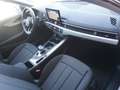 Audi A4 Avant 30 TDI S-tronic *2023er!+LED+NAVI* Grau - thumbnail 11
