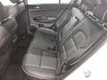 Kia Sportage 2.0 CRDI 4WD Platinum Ed. Navi Pano AHK Weiß - thumbnail 13