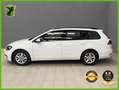 Volkswagen Golf Variant 1.0 TSI Advance 85kW Blanc - thumbnail 3