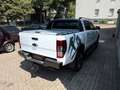 Ford Ranger Wildtrak Doppelkabine 4x4 Weiß - thumbnail 5