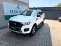 Ford Ranger Wildtrak Doppelkabine 4x4 Weiß - thumbnail 6