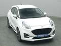 Ford Puma ST-Line 125PS/Komfort&Winter-Paket/LED Weiß - thumbnail 37