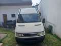 Iveco Daily Turbodaily 35-12 CE Classic 3300" 1.52 Weiß - thumbnail 5