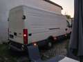 Iveco Daily Turbodaily 35-12 CE Classic 3300" 1.52 Weiß - thumbnail 11