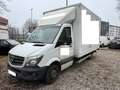 Mercedes-Benz Sprinter 516 CDI Sprinter , Koffer mit Hebebühne, Klima Weiß - thumbnail 1