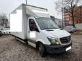 Mercedes-Benz Sprinter 516 CDI Sprinter , Koffer mit Hebebühne, Klima Weiß - thumbnail 3