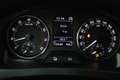 Skoda Rapid/Spaceback 1.2 TSI Greentech Ambition Businessline Pro (NAVIG Zwart - thumbnail 10