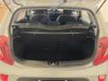 Kia Picanto 1.0 12V 5 porte Concept VARI COLORI - PROMO Plateado - thumbnail 12