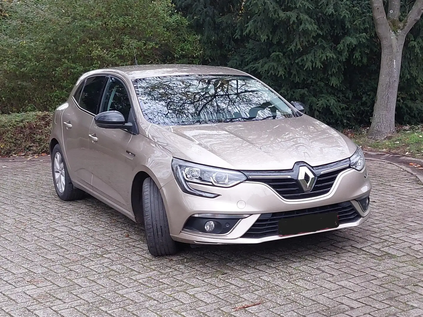 Renault Megane Megane ENERGY TCe 130 LIMITED Beige - 1