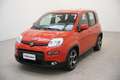 Fiat New Panda 1.0 FireFly Hybrid Sport Czerwony - thumbnail 1