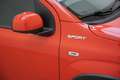 Fiat New Panda 1.0 FireFly Hybrid Sport Roşu - thumbnail 5