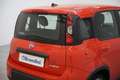 Fiat New Panda 1.0 FireFly Hybrid Sport Czerwony - thumbnail 8