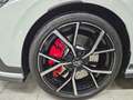 Volkswagen Golf GTI 2.0 TSI CLUBSPORT DSG 300 CV-TETTO-DCC-IQ LIGHT Bianco - thumbnail 2