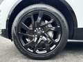Land Rover Discovery D250 AWD Dynamic SE Pano Meridian el. Sitze Weiß - thumbnail 9