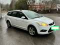 Ford Focus Focus 1.6 TDCi 90 FAP Trend Blanc - thumbnail 1