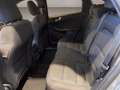 Ford Kuga 2.5 full hybrid ST-Line 2wd 190cv cvt Grau - thumbnail 9