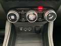 Renault ZOE Zen R110 my20 Batterie proprieta'!!!! Rosso - thumbnail 14