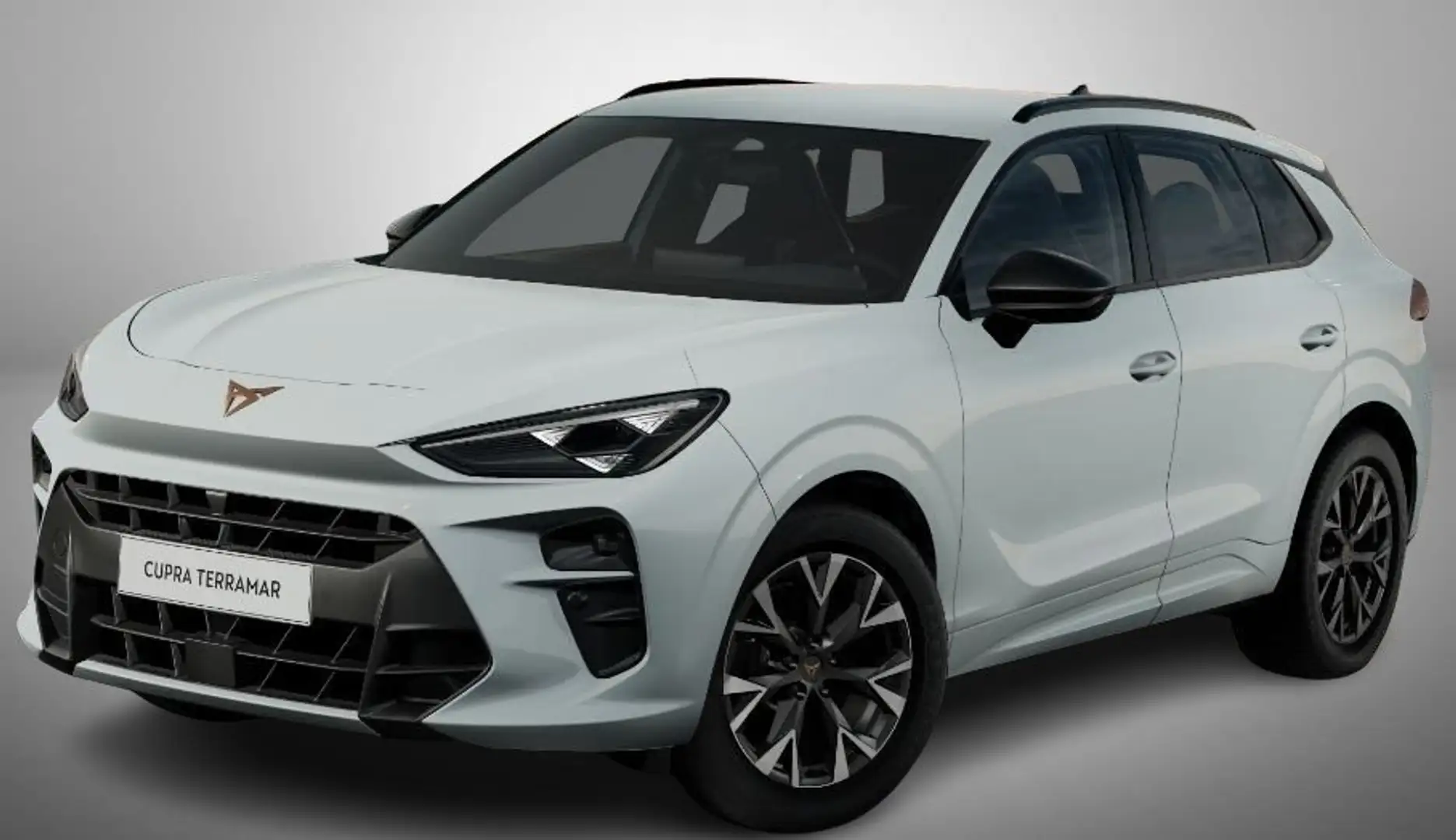 CUPRA Terramar 2.0 TSI DSG 4DRIVE 204CV *GANCIO+360°*ONLYPROMO Blanc - 1