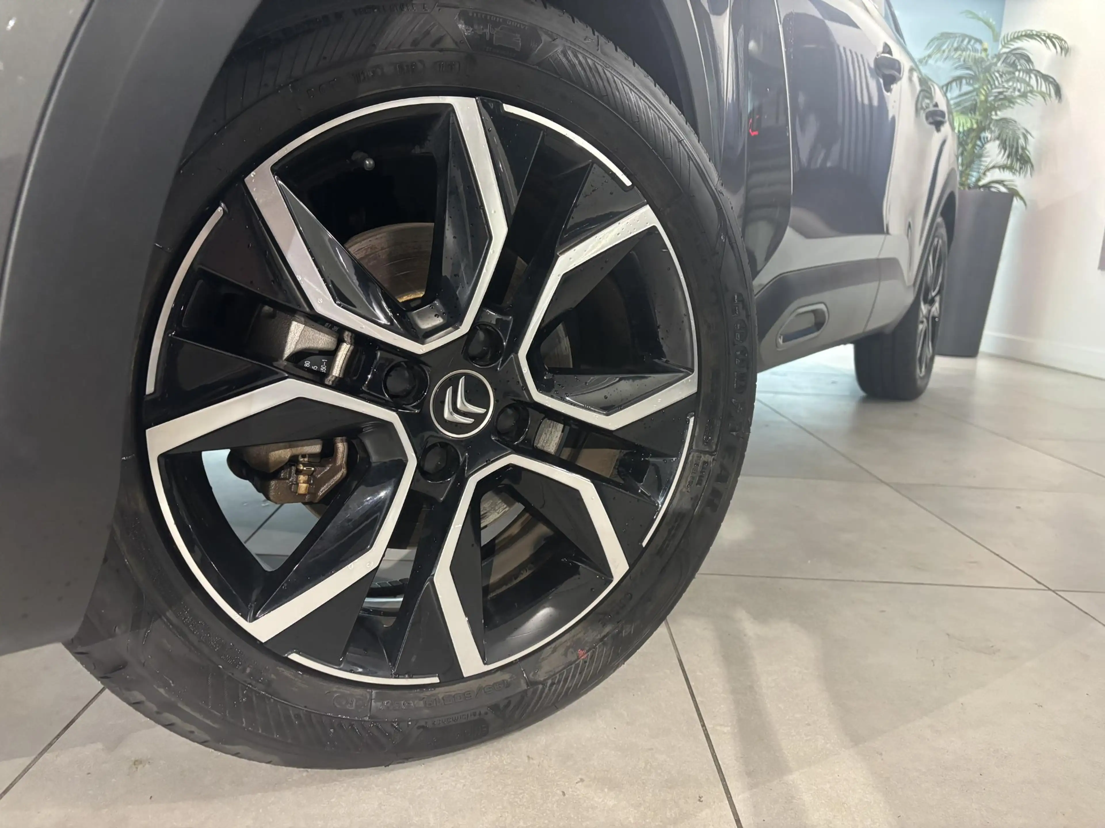 Citroen E-C4 Electric Feel 50 kWh | Cruise Control | Apple Carplay - And — photo 8