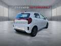 Kia Picanto Picanto 1.0 mpi Gpl Urban Weiß - thumbnail 17