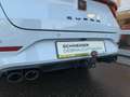 CUPRA Leon Sportstourer 2.0 TSI 4Drive DSG VZ PANO+AHK Weiß - thumbnail 46