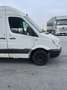 Mercedes-Benz Sprinter Sprinter 313 CDI 3,5 t / 3.550 mm Weiß - thumbnail 4