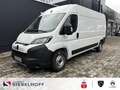 Citroen Jumper Kastenwagen Business 35Heavy L3H2 2.2 Blu Alb - thumbnail 1