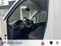 Citroen Jumper Kastenwagen Business 35Heavy L3H2 2.2 Blu Alb - thumbnail 9