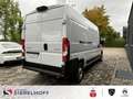 Citroen Jumper Kastenwagen Business 35Heavy L3H2 2.2 Blu Alb - thumbnail 5
