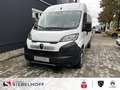 Citroen Jumper Kastenwagen Business 35Heavy L3H2 2.2 Blu Alb - thumbnail 2