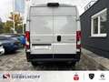 Citroen Jumper Kastenwagen Business 35Heavy L3H2 2.2 Blu Alb - thumbnail 6