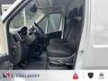 Citroen Jumper Kastenwagen Business 35Heavy L3H2 2.2 Blu Alb - thumbnail 10
