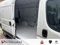 Citroen Jumper Kastenwagen Business 35Heavy L3H2 2.2 Blu Alb - thumbnail 8