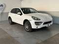 Porsche Cayenne 3.0 V6 tdi 245cv tiptronic Alb - thumbnail 2