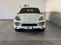 Porsche Cayenne 3.0 V6 tdi 245cv tiptronic Alb - thumbnail 1