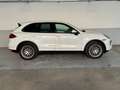 Porsche Cayenne 3.0 V6 tdi 245cv tiptronic Alb - thumbnail 4