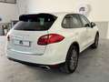Porsche Cayenne 3.0 V6 tdi 245cv tiptronic Alb - thumbnail 7